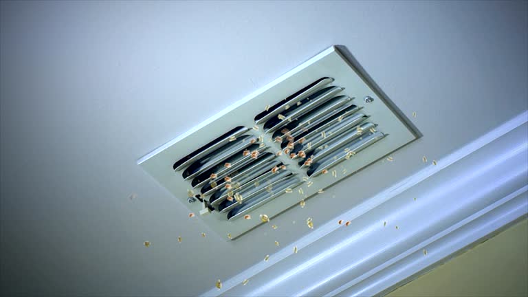 HVAC System Cleaning in Emmaus, PA