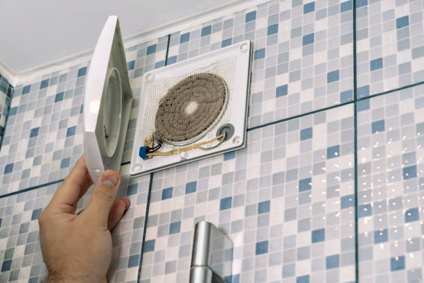 Best Air Duct Mold Removal  in Emmaus, PA